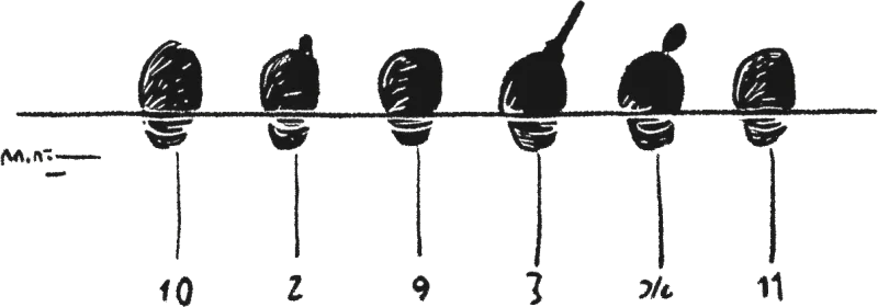 Timeline de la semaine de lancement Notion : annonce, réunion, infrastructure, premier bilan